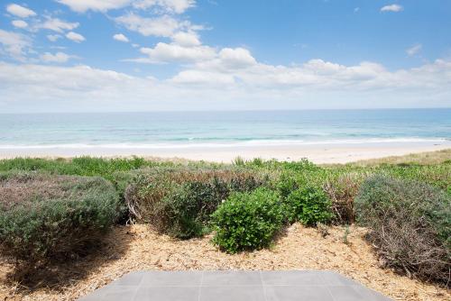a sandy beach with palm trees and palm trees at Seafarers Getaway in Apollo Bay