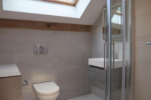 a bathroom with a toilet and a sink and a skylight at The Anchorage Nables Farm in Chippenham