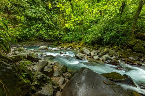 a river with a bunch of rocks and trees at Tifakara Boutique Hotel & Birding Oasis in Fortuna
