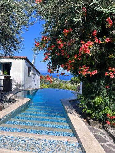 a swimming pool in a garden with flowers at Villa Giovanna in Sorrento