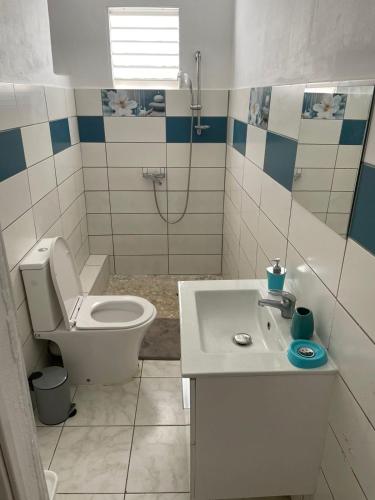 een badkamer met een toilet, een wastafel en een douche bij La petite Girafe in Baie-Mahault