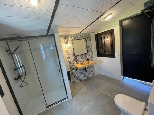 a bathroom with a shower and a sink at Caserío de Charca Cuca in Úbeda