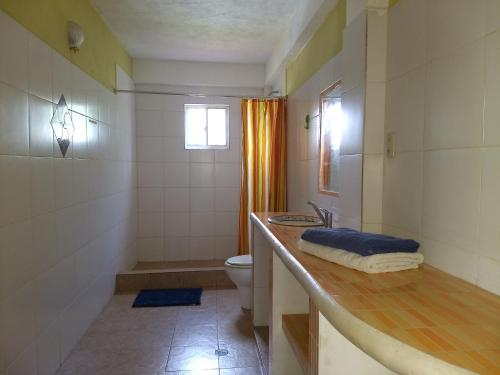 a bathroom with a sink and a toilet and a shower at Villa Cocuyo - Studios & Apartments in El Cardón
