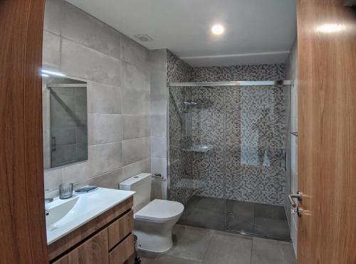 a bathroom with a shower and a toilet and a sink at Casa João Eusébio 3 in Ponte de Lima