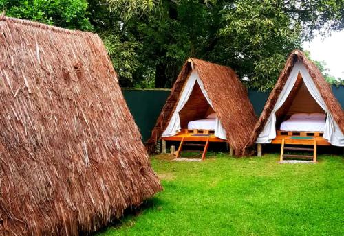 two tents with beds in a field of grass at Tropical Casa Ubatuba in Ubatuba