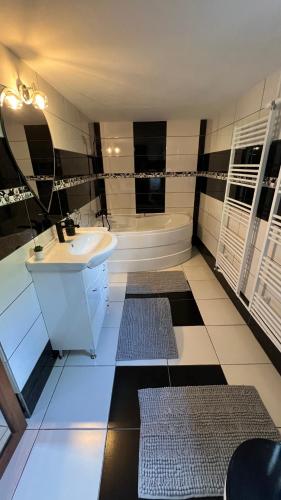 a bathroom with a sink and a tub and a toilet and a mirror at Cabana Duda in Subcetate