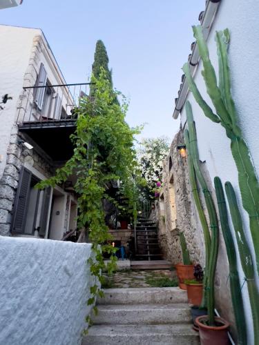Η γειτονιά γύρω από ή μία γειτονιά κοντά σε αυτό το πλωτό κατάλυμα