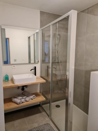 a bathroom with a sink and a shower at B&B Rossella App 1 in Roeselare