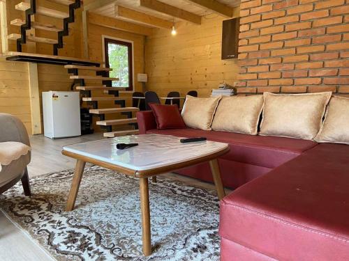 Villat Shkreli Relax في بيخا: غرفة معيشة مع أريكة وطاولة
