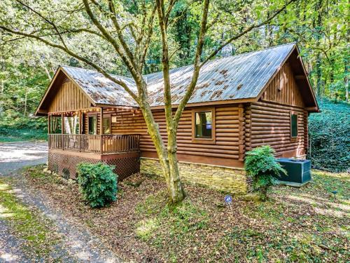 a log cabin with a tree in front of it at Bear Nakid in Pigeon Forge