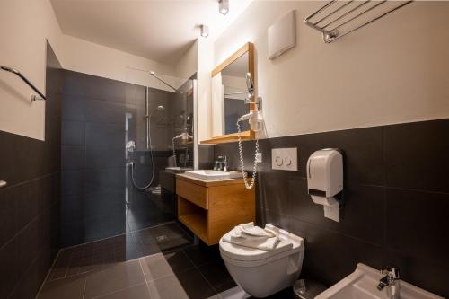 ein Bad mit einem WC, einem Waschbecken und einer Dusche in der Unterkunft Residence Sägemühle in Prad am Stilfserjoch