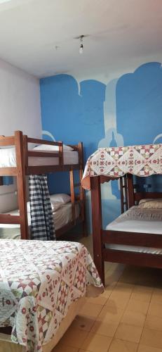 um quarto com 2 beliches e uma parede azul em Hostel e Cachaçaria da Cris em Carolina