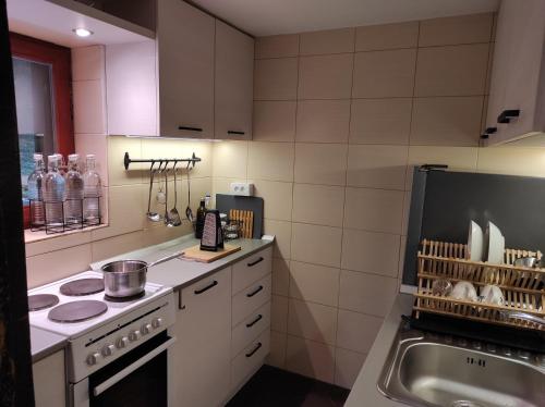 a kitchen with a stove and a sink at Rent a Forest, Cabin Hidden in the Fruška gora in Velika Remeta