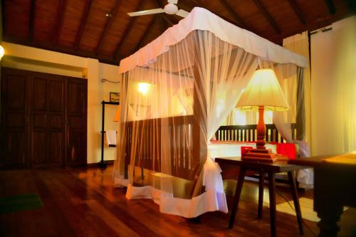 Tropical Retreat – Photos 5