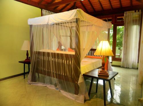 Tropical Retreat – Photos 4
