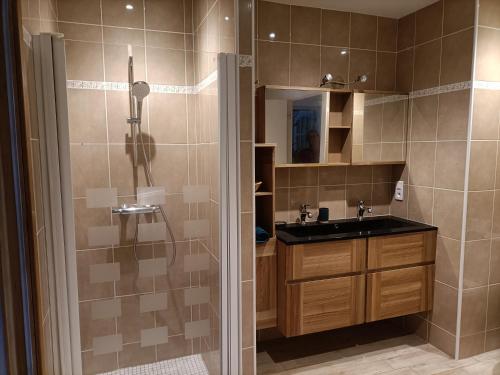a bathroom with a shower and a sink at villa 8 personnes ô Mes Anges in Saint-Julien-en-Born