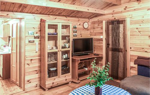 a living room with a tv and wooden walls at Cozy Home In Drzonowo With Sauna in Schönau
