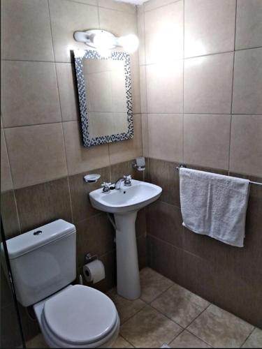 ein Badezimmer mit einem WC, einem Waschbecken und einem Spiegel in der Unterkunft Inmuebles V&S in Río Gallegos