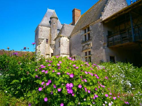 Κήπος έξω από το Chateau de Chémery