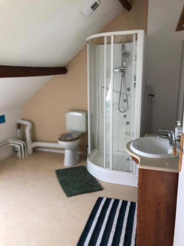 a bathroom with a shower and a sink at Gîte de charme en Dordogne avec Piscine et jardin in Jumilhac-le-Grand