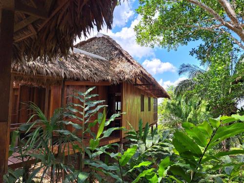 a house with a thatched roof in a forest at Andean Wings Sotupa Eco Lodge in Puerto Maldonado
