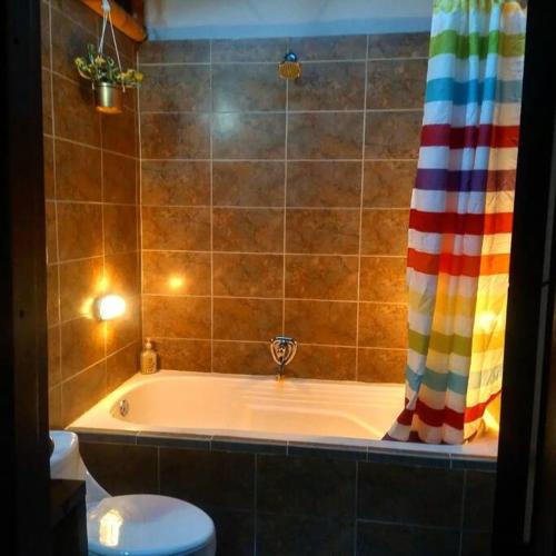 uma casa de banho com uma banheira com um WC e uma cortina de chuveiro em Apartamento la 15 em Pereira