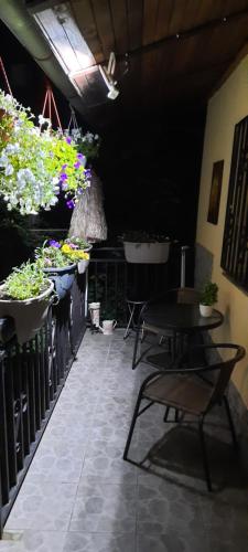 a room with several potted plants and a table at Apartment KAPO- Klima,Parking in Sarajevo