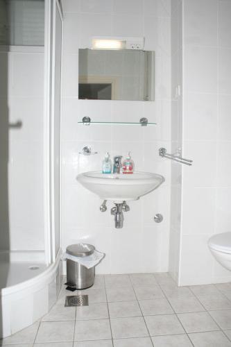 Apartments by the sea Bilo, Primosten - 3090