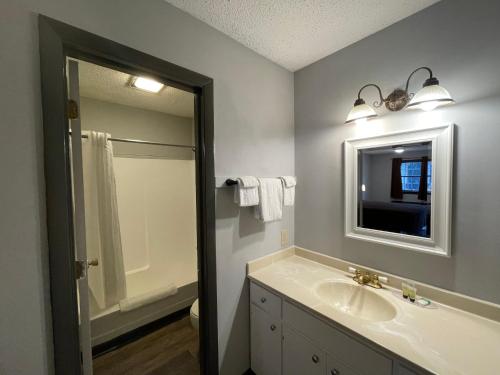 a bathroom with a sink and a mirror and a shower at Alpine Village Inn in Helen