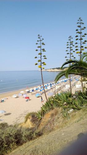 Apartamento do Algarve