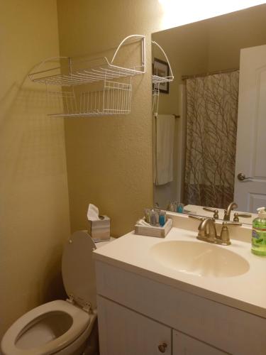 a bathroom with a sink and a toilet and a mirror at Tranquil Creekside Mountain View Getaway in Clyde