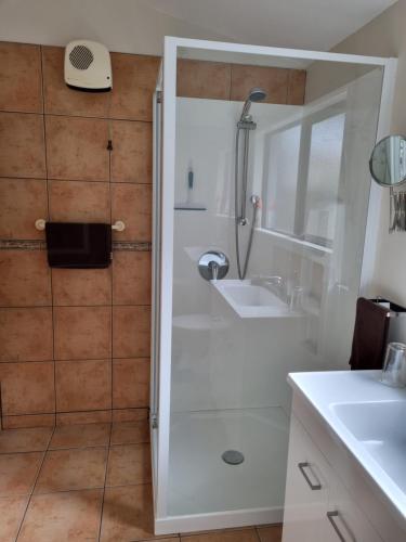 a bathroom with a shower and a sink at Havelock Garden Motel in Havelock