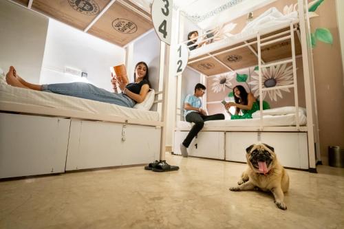 un groupe de personnes assises dans des lits superposés avec un chien dans l'établissement Citylights By MUSAFIR, à Udaipur
