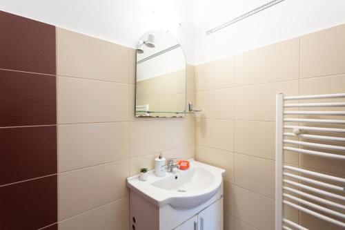 a bathroom with a sink and a mirror at Central Apartment Targu Mures in Târgu-Mureş