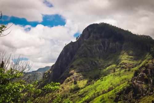 a mountain covered in green grass with a cloudy sky at Sitha's Heaven in Ella