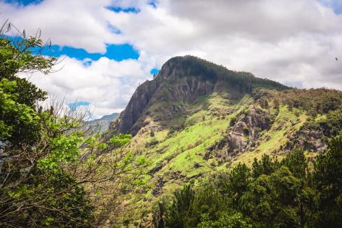 a mountain with green grass and trees on it at Sitha's Heaven in Ella