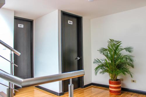 a hallway with two black doors and a potted plant at Holly Hotel in Duitama