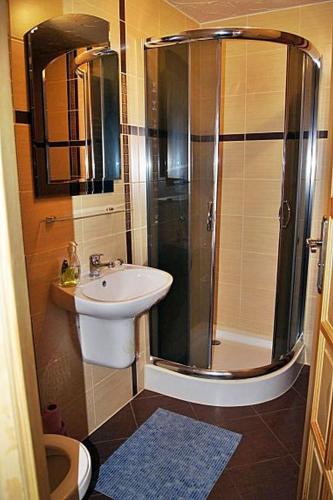 a bathroom with a shower and a sink at Willa Pod Dębami - BASEN, SALA ZABAW - Małpi Gaj - blisko centrum in Rabka-Zdrój