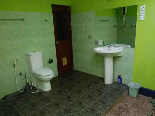 a green bathroom with a toilet and a sink at Holiday Home Anuradapura in Anuradhapura