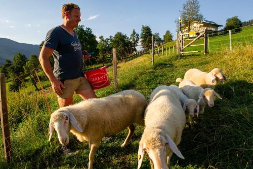 a man standing next to a group of sheep in a field at Appartements Lehenhof in Sankt Johann im Pongau