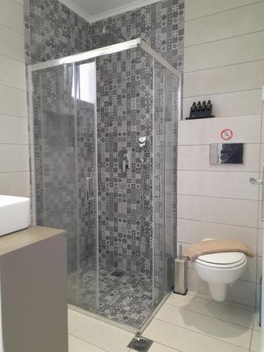 a bathroom with a shower with a toilet at Glaronisia Hotel in Pollonia