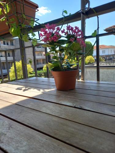 un pot de fleurs assis sur une terrasse en bois dans l'établissement Appartamento vicino ai laghi e Aereoporto di malpensa, à Cassano Magnago