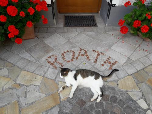 a cat sitting on a tile floor with a welcome sign at Troadkasten - Ferienhaus am BIO-Bergbauernhof in Aflenz Kurort