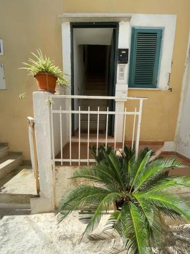 Foto dalla galleria di Casa Valga Ponza a Ponza