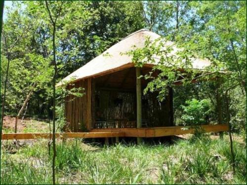 a small building in the middle of a forest at Riverbend Self Catering Cottages in Magaliesburg