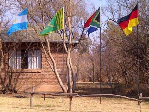 a tree with three kites in front of a building at Riverbend Self Catering Cottages in Magaliesburg