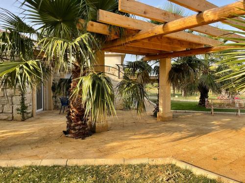 a patio with a wooden pergola and a palm tree at Mazet du pêcheur in Saint-Laurent-dʼAigouze