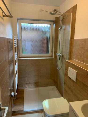 a bathroom with a shower and a toilet and a window at Ferienwohnung Wieben in Sankt Peter-Ording