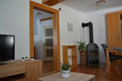a living room with a tv and a wood stove at Haus Lagma Studio in Železniki