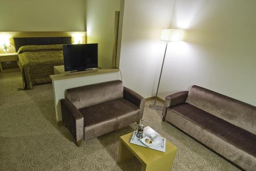 TV a/nebo společenská místnost v ubytování Adrina Termal Health & SPA Hotel